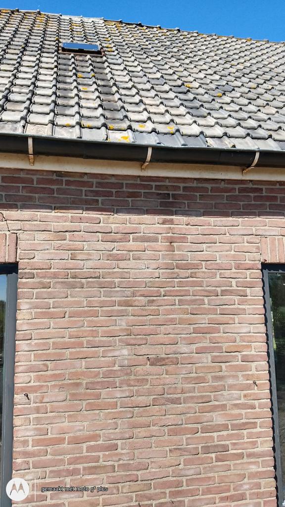 Dakpannen tuldenor, Steen of Klei, Ophalen of Verzenden, 15 m² of meer, Dakpannen