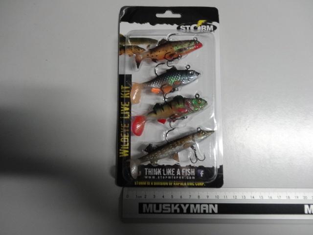 Kunstaas: Storm Wildeye Live Kit 4 Shads, Watersport en Boten, Hengelsport | Roofvissen, Nieuw, Overige typen, Verzenden