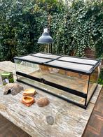 EXO TERRA TERRARIUM ** ZEER GOEDE STAAT **, Ophalen, Zo goed als nieuw, Terrarium of Paludarium