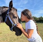 Veelbelovende Lusitano merrie “Smokey Black” (4 jaar), Minder dan 160 cm, B, Dressuurpaard, 3 tot 6 jaar