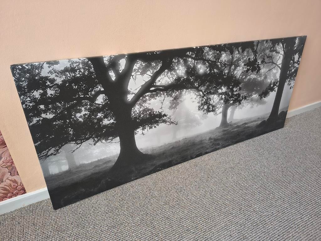 IKEA PJÄTTERYD canvas, Huis en Inrichting, Woonaccessoires | Schilderijen, Tekeningen en Foto's, Ophalen, 50 tot 75 cm, 125 cm of meer