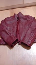 Leren jasje zgan maat s bordeaux rood, Ophalen of Verzenden, Zo goed als nieuw, Maat 36 (S), Rood