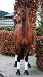 Super brave connemara ruin, Ruin, 3 tot 6 jaar