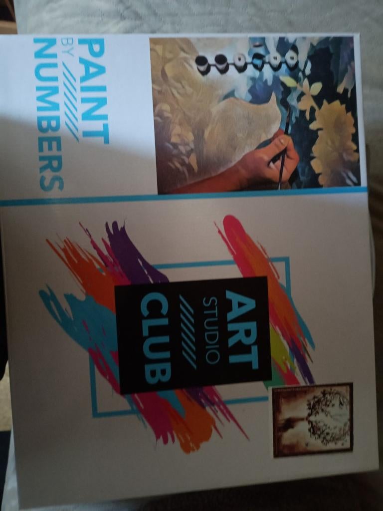 Art Studio Club Paint by Numbers, Ophalen of Verzenden