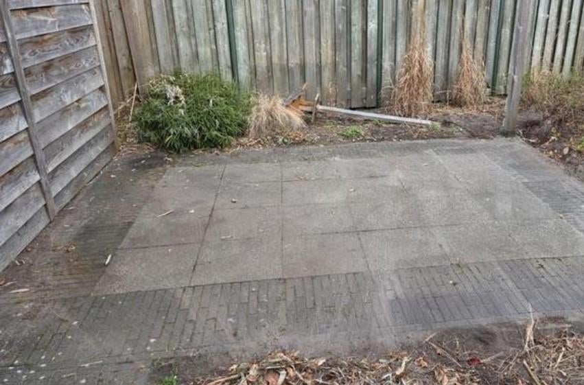 Gratis terrastegels, stenen en insluitbanden, Tuin en Terras, Tegels en Klinkers, Ophalen of Verzenden, Gebruikt, Beton, Terrastegels