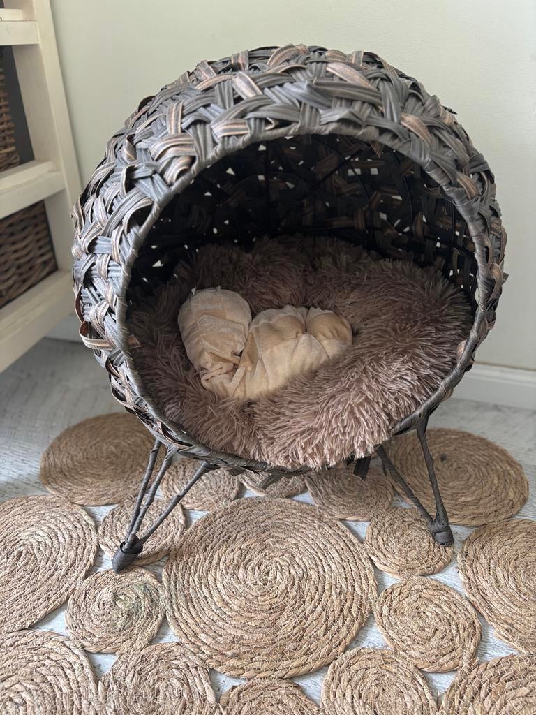 Mooie katten / kleine honden mand, Ophalen, Zo goed als nieuw, Riet