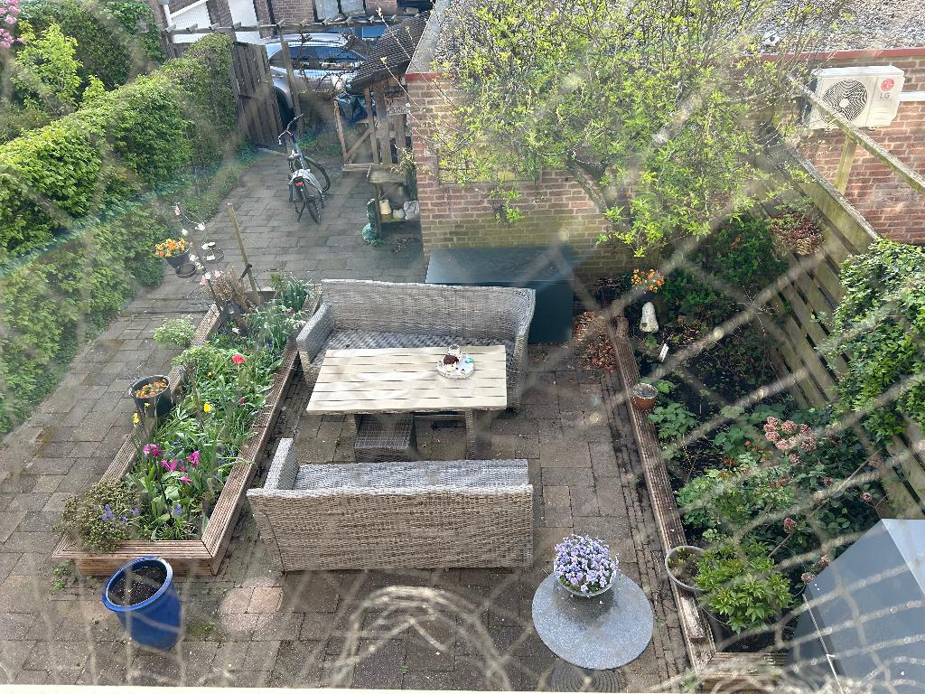 Volwassen appelboom, Ophalen, Lente, Halfschaduw, Appelboom