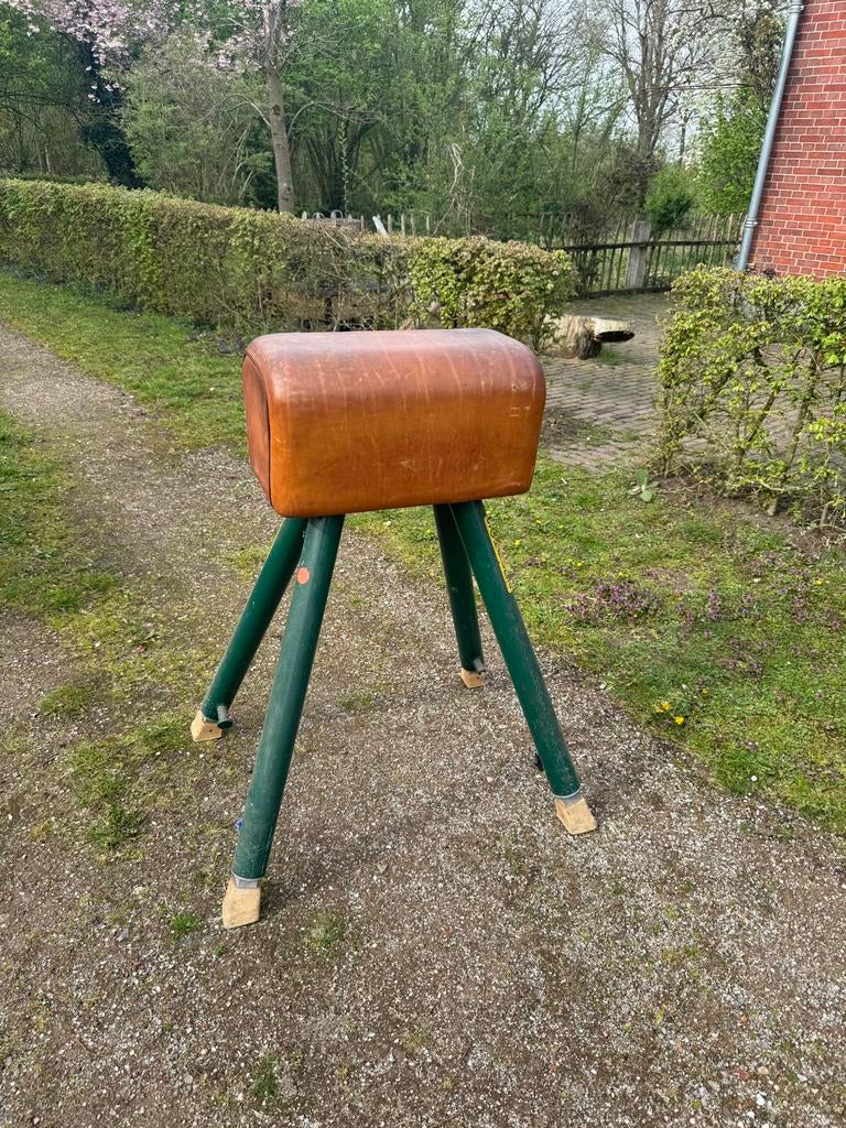 Vintage Schelde Gymbok, Ophalen, Gebruikt