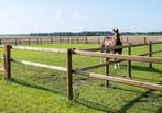 Stalling & weide in zelfbeheer gezocht!, Stalling, 4 paarden of pony's of meer