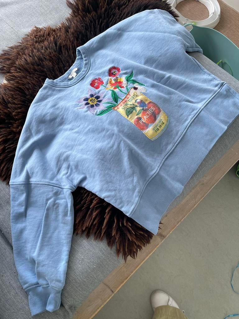 Lichtblauwe sweater met bloemenborduurwerk (L, merk NEXT), Kleding | Dames, Truien en Vesten, Zo goed als nieuw, Maat 42/44 (L)