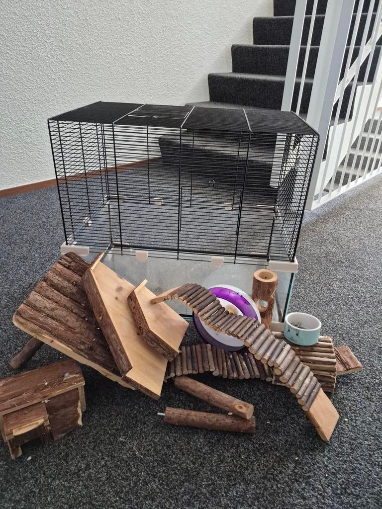 Ferplast karat 60 knaagdieren kooi, Dieren en Toebehoren, Knaagdieren en Konijnen | Hokken en Kooien, Ophalen, Minder dan 75 cm