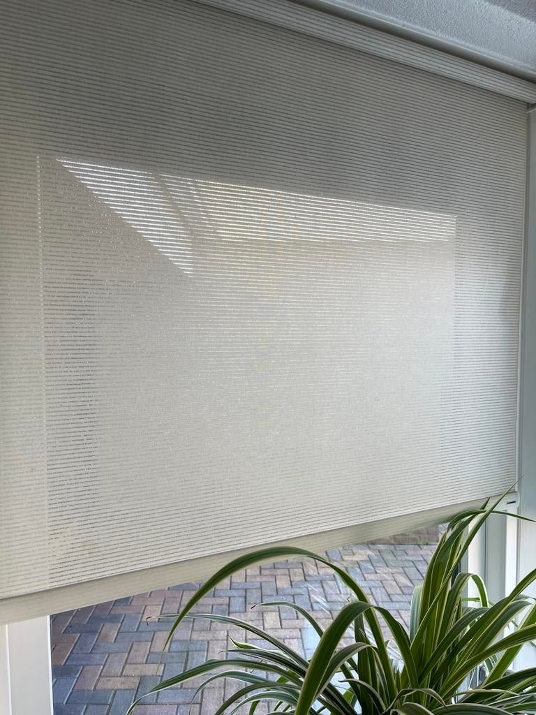 Sunway Rolgordijn - Lichtdoorlatend en Stijlvol, Ophalen, Gebruikt, 100 tot 150 cm, 150 tot 200 cm