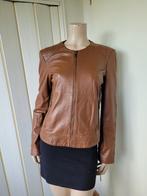 Stefanel Leren jas - Maat 40/42 bruin, Bruin, Maat 42/44 (L), Ophalen of Verzenden, Zo goed als nieuw