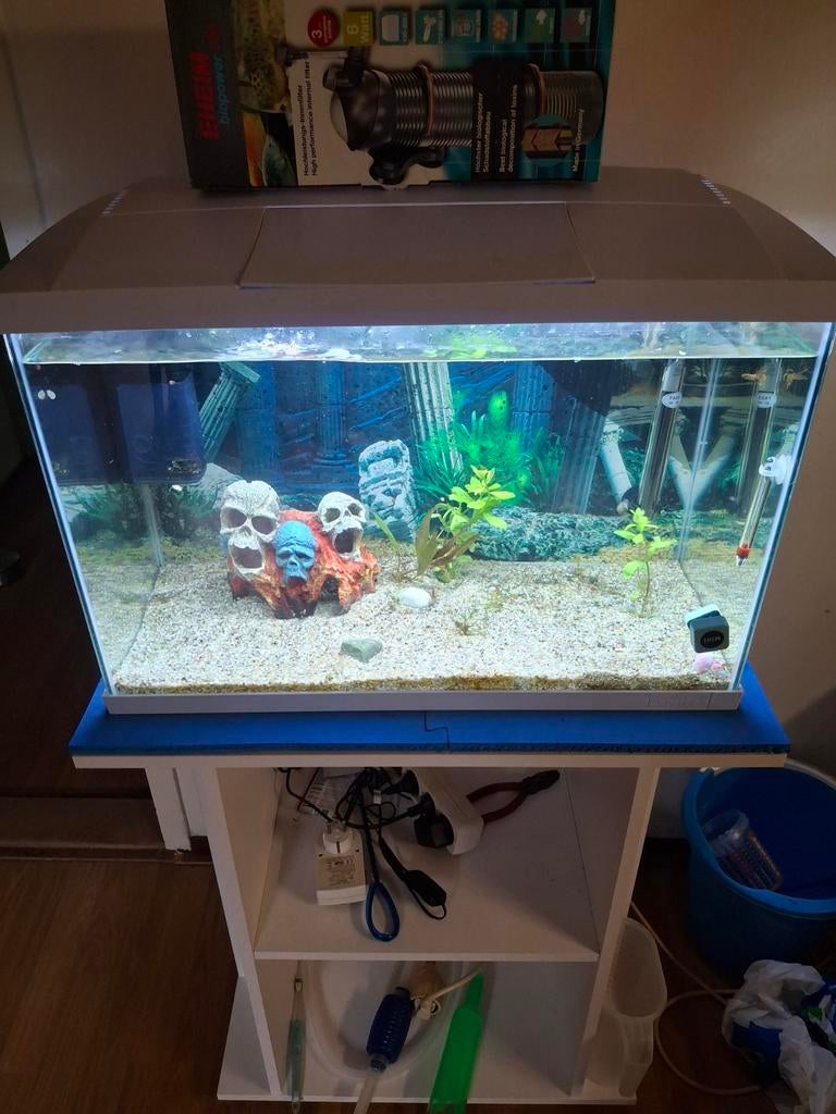 Superfish aquarium 70 liter met kast, Dieren en Toebehoren, Vissen | Aquaria en Toebehoren, Ophalen, Verwarming, Zo goed als nieuw