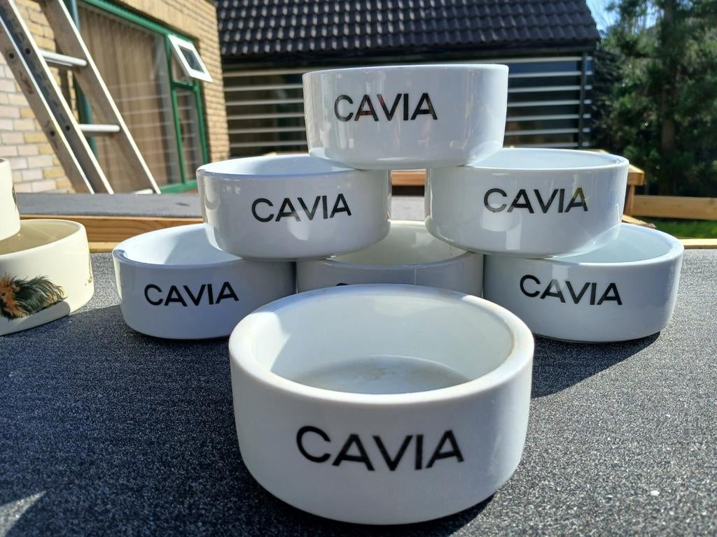 Cavia spullen te koop, Ophalen