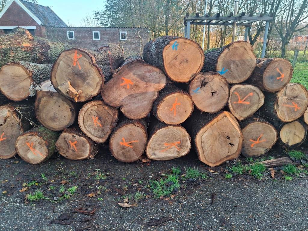 Gezocht eiken stamhout, Tuin en Terras, Haardhout, Minder dan 3 m³, Ophalen of Verzenden