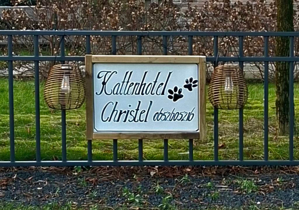 Katttenhotel Christel., Dieren en Toebehoren, Katten en Kittens | Overige Katten, Meerdere dieren