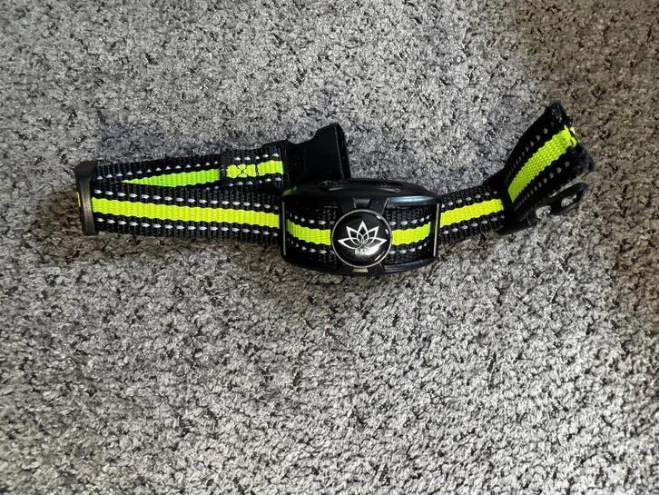 DIEVRIENDELIJKE Anti Blafband voor honden oplaadbaar - USB, Dieren en Toebehoren, Honden-accessoires, Nieuw, Ophalen of Verzenden