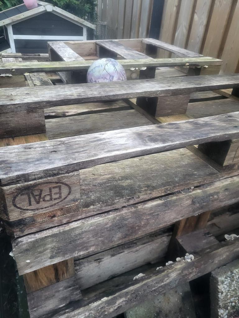 Gratis Brand hout-dinsdag halen, Doe-het-zelf en Verbouw, Hout en Planken, Ophalen of Verzenden, Zo goed als nieuw, 50 mm of meer