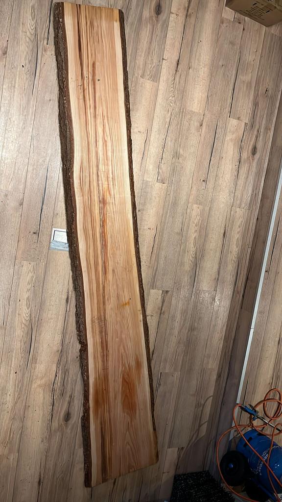 Mooie boomstamplank, Doe-het-zelf en Verbouw, Hout en Planken, Ophalen, Gebruikt, 25 tot 50 mm, Plank