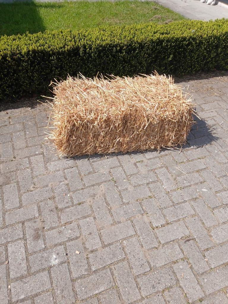 Tarwestro / bundels/ kleine pakjes (baaltjes), Ophalen of Verzenden, Vee