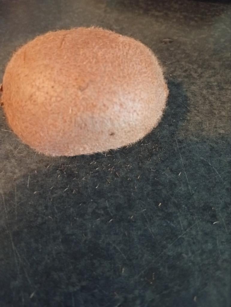 Grote behaarde druif, Diesel, Hoed, Gedragen, One size fits all