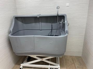 Kunstofbad Neele elektrisch verstelbaar voor hondensalon beschikbaar voor biedingen
