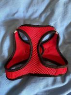 Honden tuigje maat S. Gloednieuw, Dieren en Toebehoren, Ophalen of Verzenden, Nieuw, Hondenriem