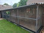Zeer ruime volière met sluis, Dieren en Toebehoren, Ophalen, Gebruikt, Hout, Volière