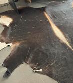 Koeienhuid vloerkleed, Ophalen, Gebruikt, 150 tot 200 cm, 200 cm of meer