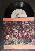 Paul Simon, Cd's en Dvd's, Vinyl | Pop, Gebruikt, Ophalen of Verzenden