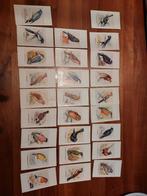 Warne observers picture cards birds vintage plaatjes, Ophalen of Verzenden, Zo goed als nieuw