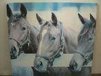 Mooi paardenschilderij, 58x58, Gebruikt, Wanddecoratie, Ophalen