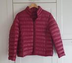 Dames jas damesjas maat 44 valt iets kleiner, Ophalen of Verzenden, Zo goed als nieuw, Maat 42/44 (L), Rood