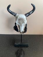 Stier schedel model, Ophalen