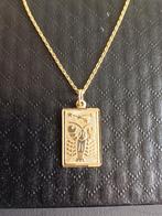Gouden ketting met sterrenbeeld hanger., Verzenden, Zo goed als nieuw, Goud, Goud