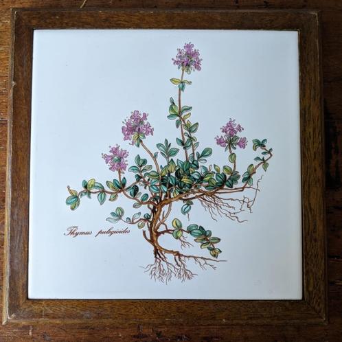 Botanica onderzetter, Huis en Inrichting, Keuken | Servies, Gebruikt, Porselein, Ophalen of Verzenden