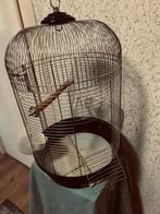 Vogel kooi, Ophalen, Gebruikt, Metaal, Vogelkooi
