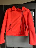 Koraal Bikerjas Zeeman Maat 42 Suède, Ophalen of Verzenden, Zo goed als nieuw, Maat 42/44 (L), Overige kleuren