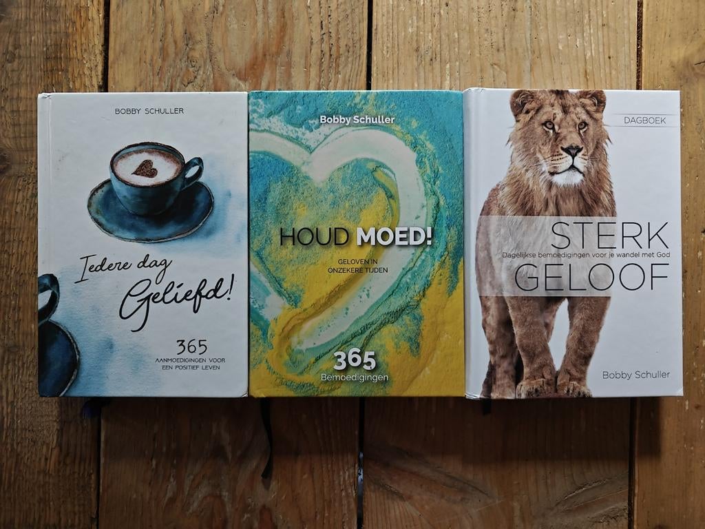 3 Dagboeken van Bobby Schuller., Ophalen of Verzenden, Zo goed als nieuw