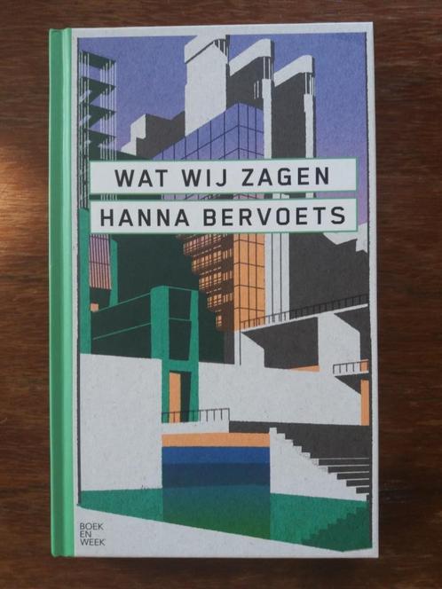 Wat Wij Zagen - Hanna Bervoets, Boeken, Boekenweekgeschenken, Zo goed als nieuw, Ophalen of Verzenden