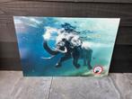 Kunstwerk op plexiglas – 90x60 cm – NIEUW in beschermfolie, Ophalen