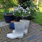 Witte hevea laarzen, maat 40, zo goed als nieuw, Kleding | Dames, Schoenen, Wit, Ophalen of Verzenden, Regenlaarzen, Hevea