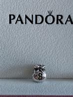 (764) Pandora bedel zak met “geld ”zilver, Gebruikt, Pandora, Ophalen of Verzenden, 1 bedel