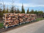 4,8 kuub halfdroog eiken Essen haardhout thuisbezorgd, Tuin en Terras, Haardhout, Minder dan 3 m³, Verzenden, Blokken