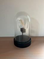 Klein vogel skelet in stolp, Ophalen of Verzenden, Zo goed als nieuw