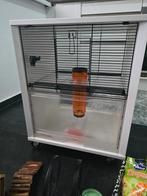 Leuke hamster kooi, Dieren en Toebehoren, Knaagdieren en Konijnen | Hokken en Kooien, Kooi, Minder dan 75 cm, Zo goed als nieuw