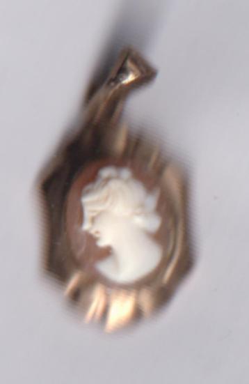 Hanger met Camee Goud 14 karaat.  ADV. no.3 Aa. beschikbaar voor biedingen