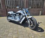 Vrod muscle harley davidson, Particulier, 2 cilinders, Chopper