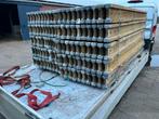 H20 ligers peri bekisting houten balken, Minder dan 25 mm, Ophalen of Verzenden, Plank, Minder dan 200 cm